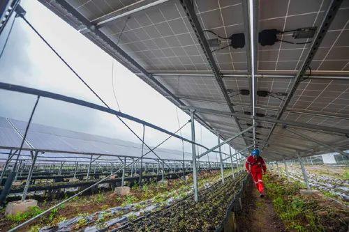中國十三省最大光伏電站在這里！欽州康熙嶺的光伏電站能排上號了嗎？